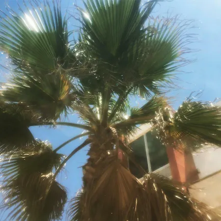 Vela Marina Costa Nova